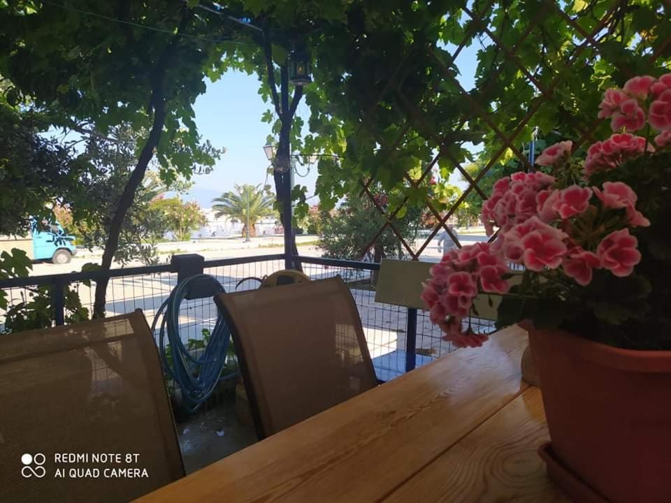Seaside Deluxe Apartment Skála Kallirákhis المظهر الخارجي الصورة